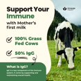 thumbnail image 4 of Suplemento de calostro bovino alimentado con pasto Super Moo de ImmergeHealth, 4 of 6