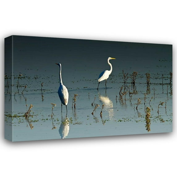 Alan Hausenflock 32x23 Gallery Wrapped Canvas Wall Art Titled - Early Morning Egrets I