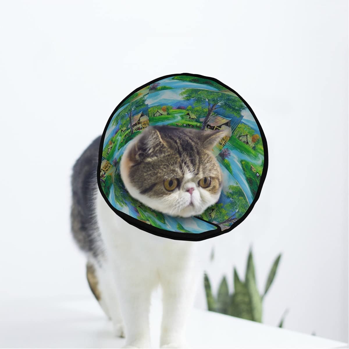 Farmhouse Painting Landscape Soft Cat Dog Recovery Collar Adjustable Cat Cone Wound Healing Protective After Surgery for Pet Cone Walmart