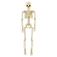 thumbnail image 1 of Huanglei 40cm Poseable Halloween Skeleton Movable Plastic Bones With Top Hat/Cape Or Weathered Effects For Bar Party (3 Styles), 1 of 6