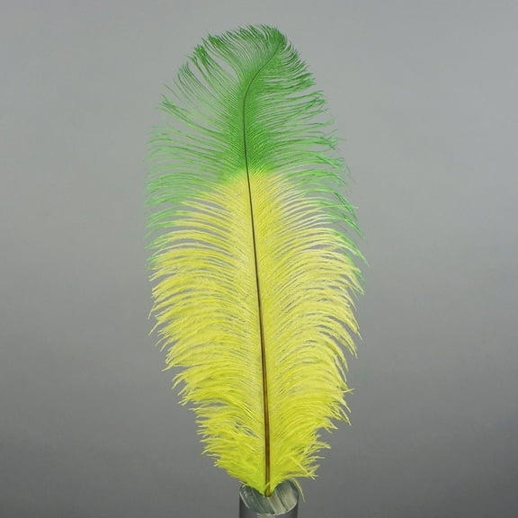 ZUCKER Ostrich Feathers - Drabs Tipped Selected - 17" - 3PCS  - Lime - Kelly