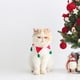 thumbnail image 3 of Perro Gato Bufanda Babero Saliva Toalla Lovely Pet Supplies Advancent HA044034-04, 3 of 6