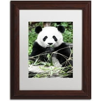 Trademark Fine Art "Giant Panda" Canvas Art by Philippe Hugonnard, White Matte, Wood Frame