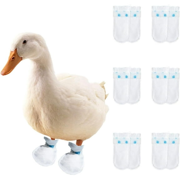 GYTY Duck Shoes for Real Ducks Chickens 6-Pair Waterproof & Disposable Booties with Self-Adhesive Bandage for Waterfowl Wound Foot Care Bumblefoot (Waterproof Version,L)