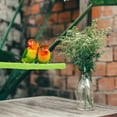thumbnail image 2 of Bird Perch Parrot Stand Perch Bird Cage Perch Wood Parrot Perch Parrot Standing Stick Parrot Perch, 2 of 9