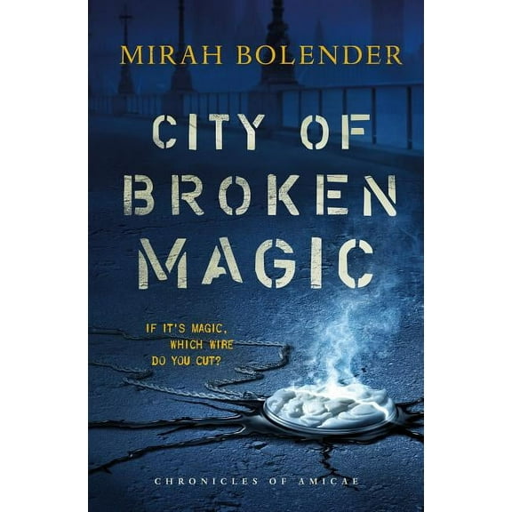 Chronicles of Amicae City of Broken Magic, Book 1, (Paperback)