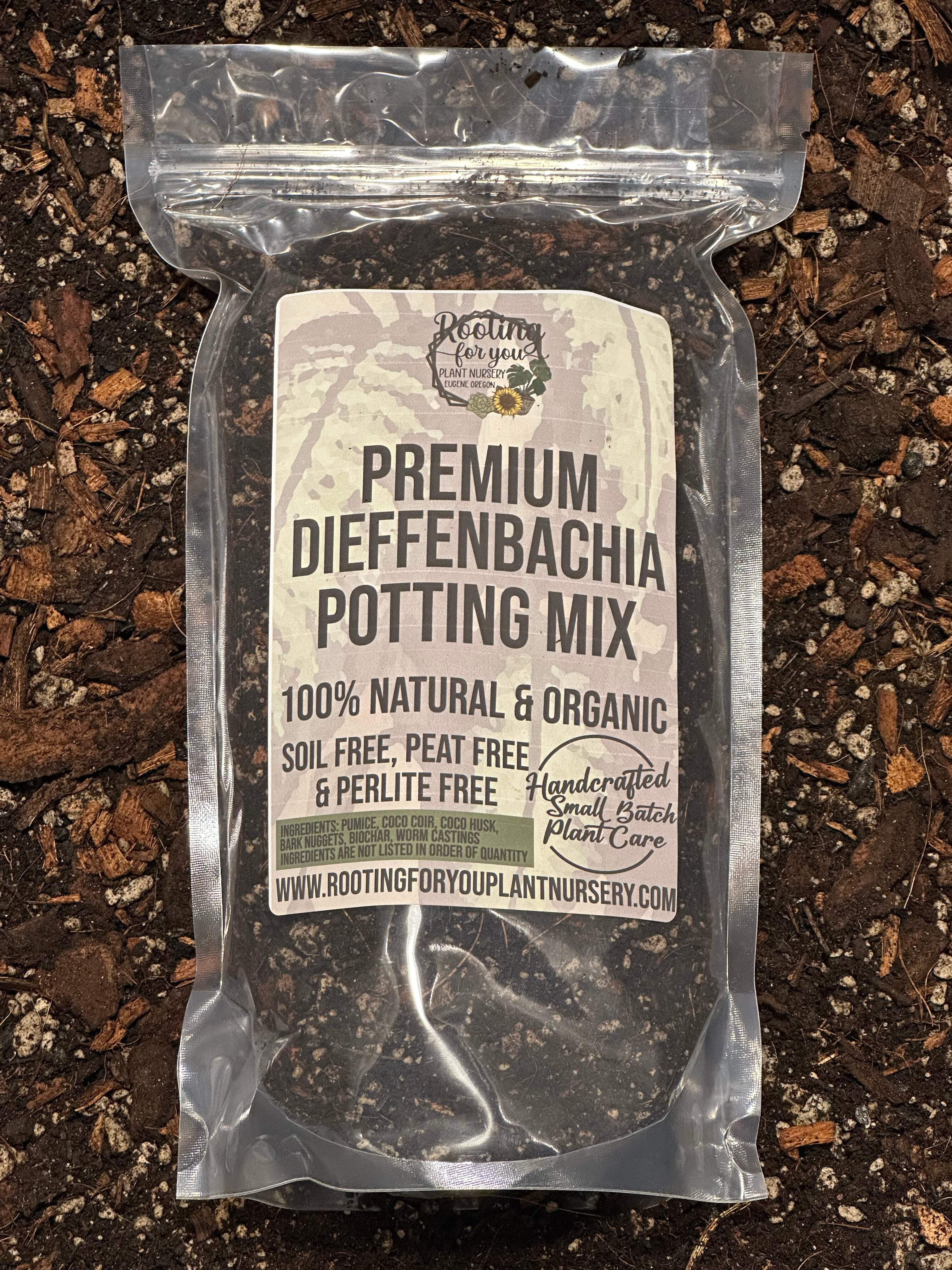 cactus succulent potting mix Soil