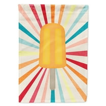 Carolines Treasures SB3104GF Orange Popsicle Flag Garden Size  Small multicolor