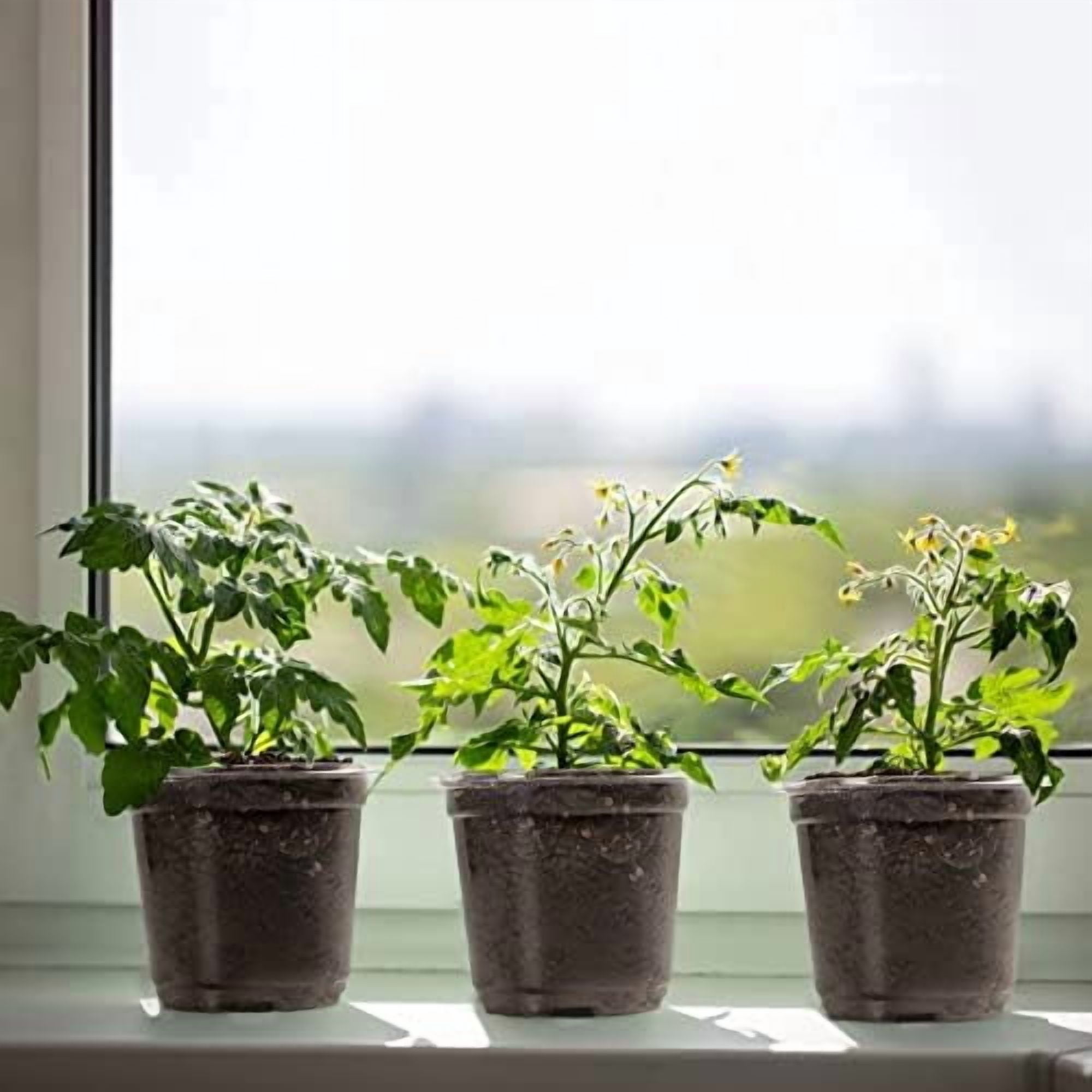Clear Plant Nursery Pots with Humidity Dome 4" Soft Transparent Plastic Gardening Pot Planting Containers Cups Planter Small Starter Seed Starting Trays for Seedling with 10pcs Plant Labels