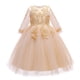 thumbnail image 1 of Vestido de niña, vestido de gasa de red con mangas de red, vestido de princesa de presentadora de actuación, 1 of 6