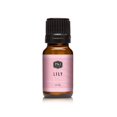 thumbnail image 3 of P&J Trading Huile Parfumée au Lys - Huile Parfumée de Qualité Supérieure - 10 ml, 3 of 4
