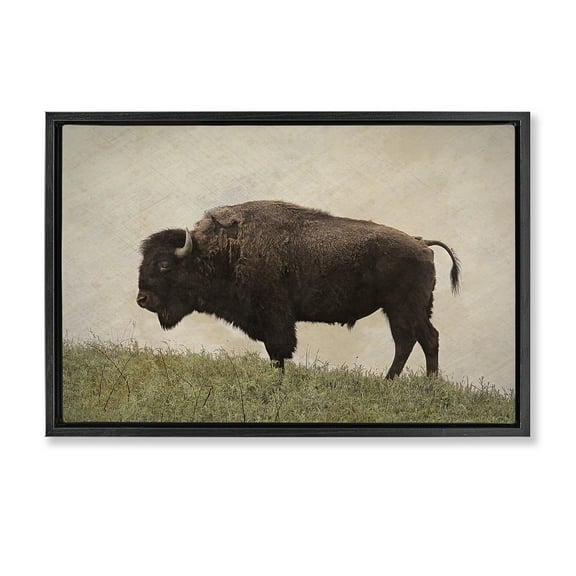 Stupell Industries Serene Buffalo on Country Hill Animals Painting Black Floater Framed Canvas Art Print Wall Art, 25 x 17