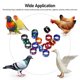 thumbnail image 2 of 50 Pcs Bird Leg Bands Chicken Leg Bands Pigeons Rings Chicken Bands Pigeon Supplies, 2 of 3