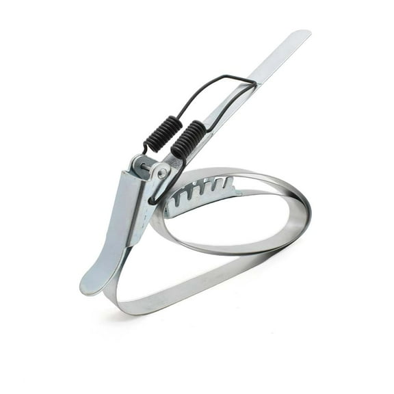 Big Horn 11775 14 Inch Steel Band Clamp