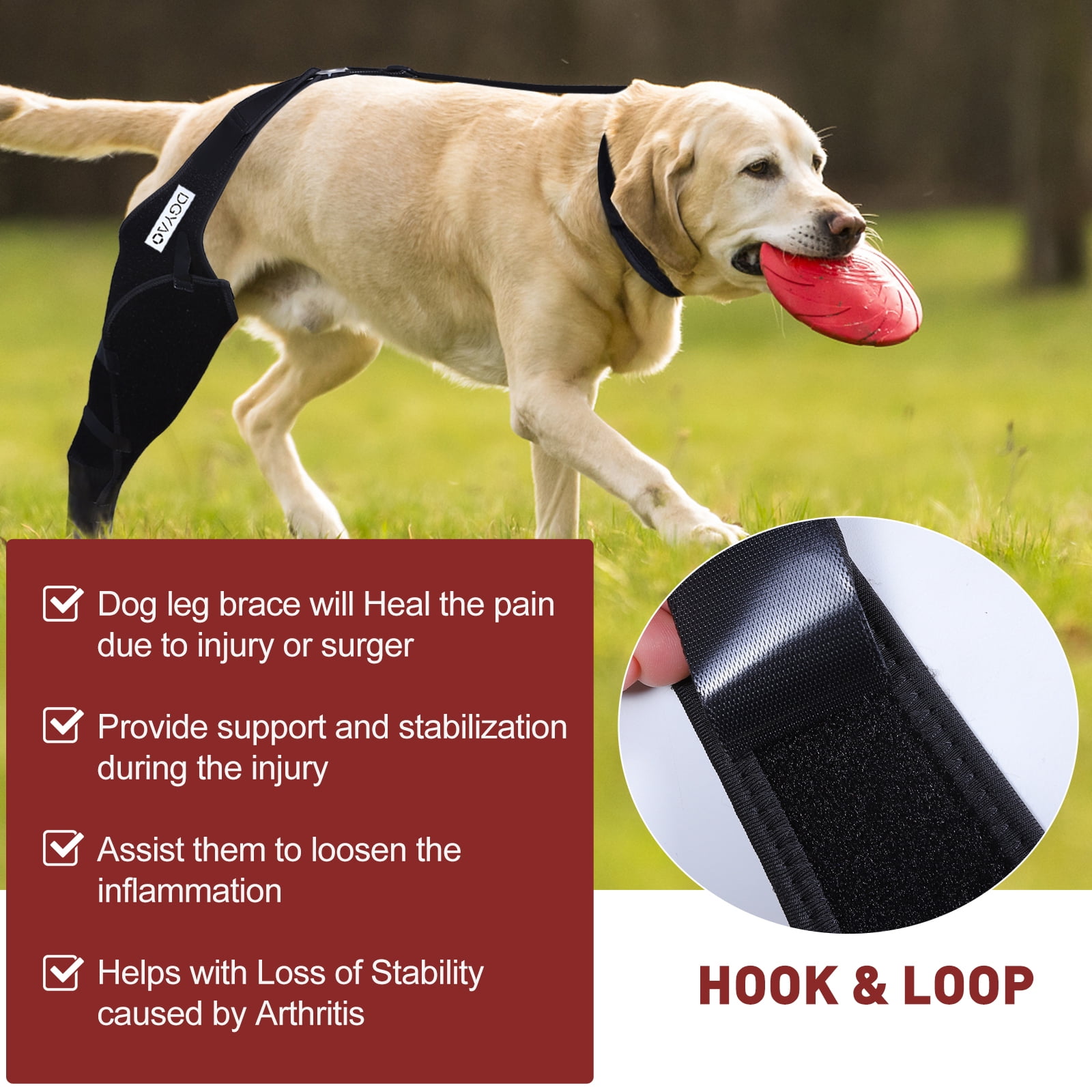 TUOY Dog Knee Brace for ACL, Knee Cap Dislocation, Arthritis - Full Wrap - Easy Adjustable - Extra Support - Reduces Pain and Inflammation – Full Sizes