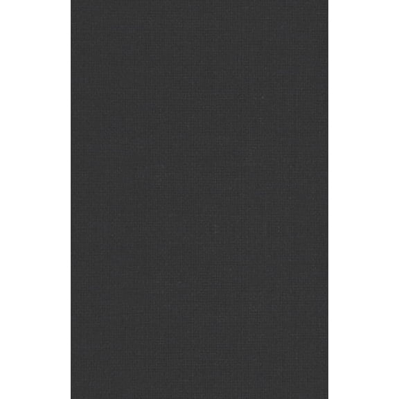 Global Issues Govering for the Environment: Global Problems, Ethics and Democracy, (Paperback)