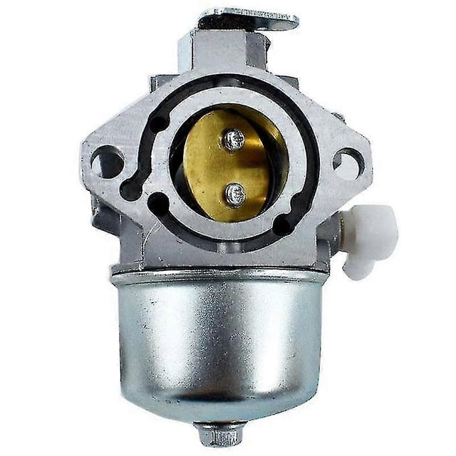 compatible Briggs & Stratton Carburetor Carb 28M707 28R707 28T707 28V707 694941 699831 Engine Lawn Mower Parts+