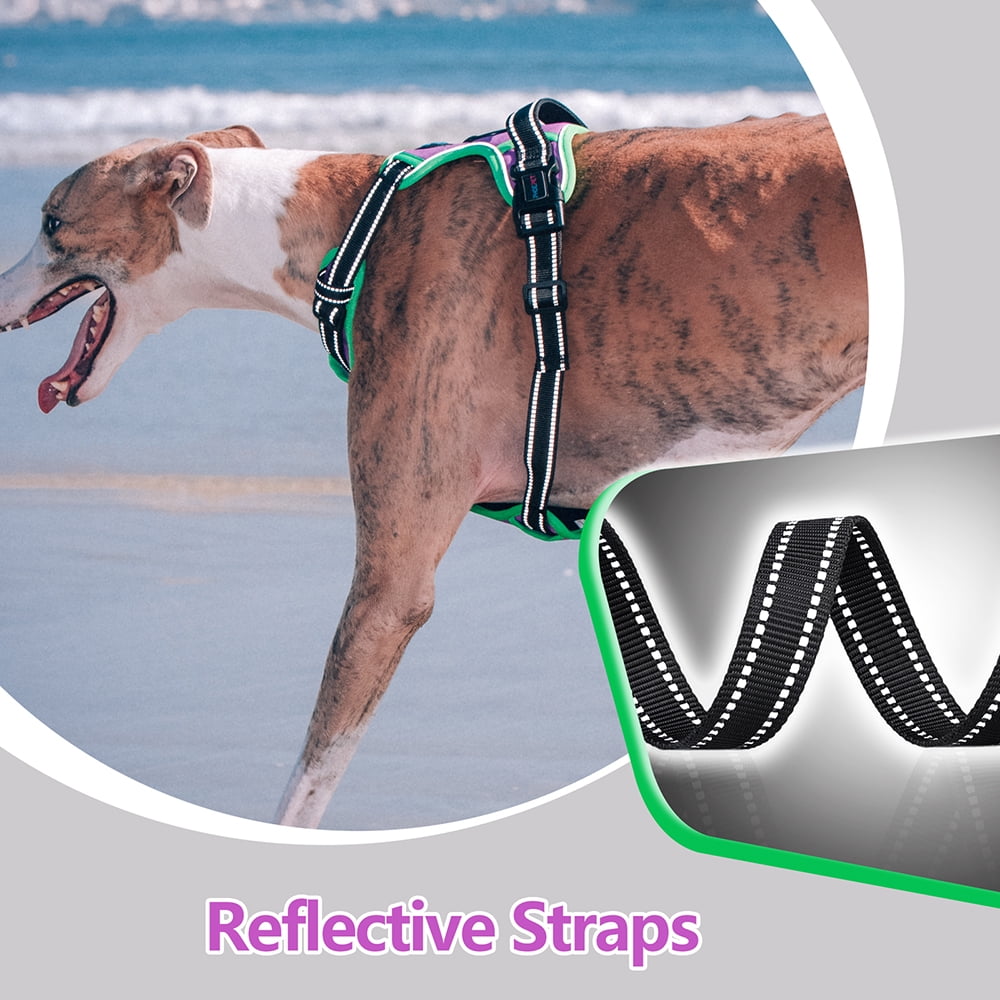 PHOEPET 2019 Upgraded No Pull Dog Harness, Reflective Adjustable Vest, with a Training Handle + 2 Metal Leash Hooks+ 3 Snap Buckles +4 Slide Buckles