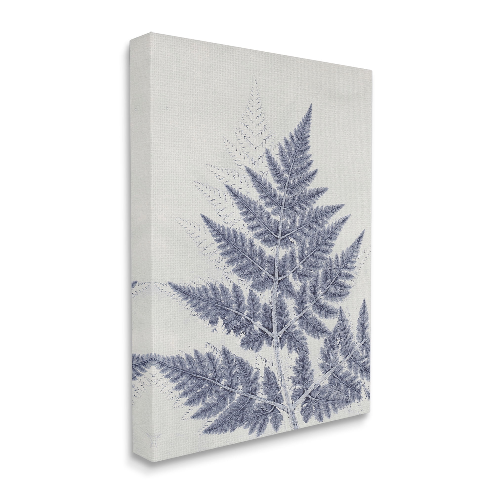 Stupell Industries Blue Fern Imprint Botanical & Floral Painting Gallery Wrapped Canvas Art Print Wall Art, 24 x 30