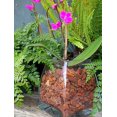 thumbnail image 2 of Corteza para macetas de orquídeas SuperMoss Natural 4 cuartos, 2 of 7
