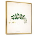 thumbnail image 3 of Designart 'Ancient Plant Life XVIII' Farmhouse Framed Canvas Wall Art Print, 3 of 5