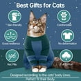 thumbnail image 2 of ZZ Sticky Hair Cat Clothes,Cat Recovery Suit Cat Pajamas for Cats Only, Sphynx Hairless Cats Sweater, Kitten Hair Sticky Onesie Cat Turtleneck, Anti-Licking or Skin Disease Recovery Suit for Cats, 2 of 7