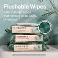 thumbnail image 3 of The Honest Company Flushable Wipes, Plant-Based, 126 Count, Tropical Leaves, 3 of 15