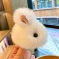 thumbnail image 1 of Plush Pendant High-looking Mini Version of Bunny Bag Pendant Non-shedding Ins Cute Rabbit Car Keychain Car Pendant Keyring, 1 of 3