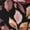 1 Black, variant on Rose Flowers Print Thigh High Socks Extra Long Stretchy Sock Women Over Knee High Opaque Stocking Daily Wear