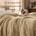 thumbnail image 2 of PHF Lightweight Queen Size Fleece Blanket, Contemporary Flannel Fleece 3D Jacquard Aesthetic Fluffy Blanket, No Shedding, No Pilling, 90" x 90", Light Khaki, 2 of 9