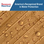 Thompsons WaterSeal Transparent Wood Sealer, Chestnut Brown, 1 Gallon