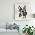 thumbnail image 3 of Trademark Fine Art 'Inked Dogs IV' Canvas Art by Grace Popp, 3 of 4
