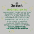 thumbnail image 3 of Seagrams Diet Zero Sugar Ginger Ale Soda Pop, 2 Liter Bottle, 3 of 9