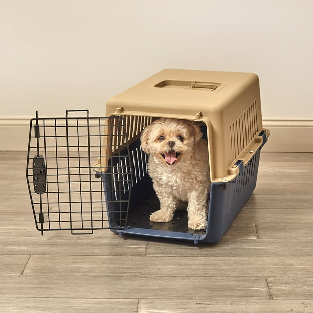 Pet Sentinel Travel Plastic Dog Crate, Small, 15.40"L x 15.70"W x 24"H