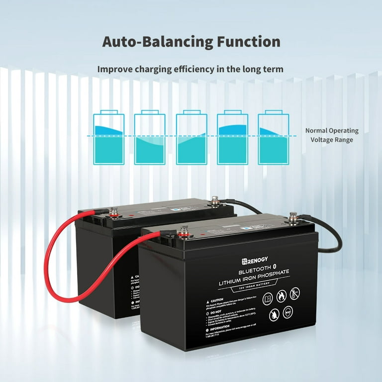 Renogy 12V 100Ah Smart Lithium Iron Phosphate Battery with Self-Heating  Function - TEnergise