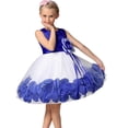 thumbnail image 2 of LYHaoo Infant Girls Sleeveless Prints Dress Custume Dress Dress Show Dress Newborn，Casual Floral Dresses Sizes 12-24 Months Blue, 2 of 5