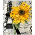 thumbnail image 2 of Sasha 12x14 White Modern Wood Framed Museum Art Print Titled - Paris Blanc, 2 of 4