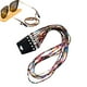 thumbnail image 2 of Cuerda para gafas Sunnimix Cadena Multicolor 5 piezas, 2 of 7