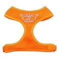 thumbnail image 2 of Holly N Jolly Screen Print Soft Mesh Pet Harness, 2 of 2