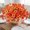Orange, variant on Lunxisen 1 Pcs Artificial Silk Violet Orchid Flowers Faux Spring Grass Fabric Blooms Home Garden Wedding Party Indoor Outdoor Decor(14.17*11.81IN)