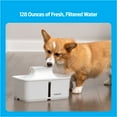 thumbnail image 3 of Premier Pet 128 oz. Pet Fountain, Automatic for Dogs, Cat, & Multi Pets, Filters Included, White, 3 of 9