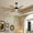Black + Iron＋3, variant on TENGDA 52 Black Windmill Ceiling Fan 52" Fan with LED Light Remote & Reversible DC Motor for Home