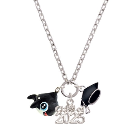 Delight Jewelry Resin Killer Whale - Silver-tone Class of 2025 Graduation Zoey Necklace, 28"