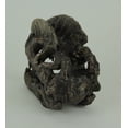 thumbnail image 3 of Dilophosaurus Dinosaur Head Fossil Statue Small, 3 of 4