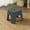 Black, variant on Byujiro Multi-Functional Small Stool Plastic Stool Children's Stool Home Stepping Non Slip Thickened Plastic Stool Baby Low Stool Bathing Stool
