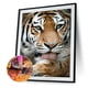 thumbnail image 1 of Cuadros Decorativos Kits de pintura de diamante DIY de tigre arte de decoración de pared de taladro redondo completo (VY051) Wdftyju embutido en tela, 1 of 9