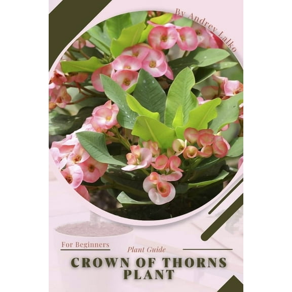 Crown of Thorns Plant: Plant Guide