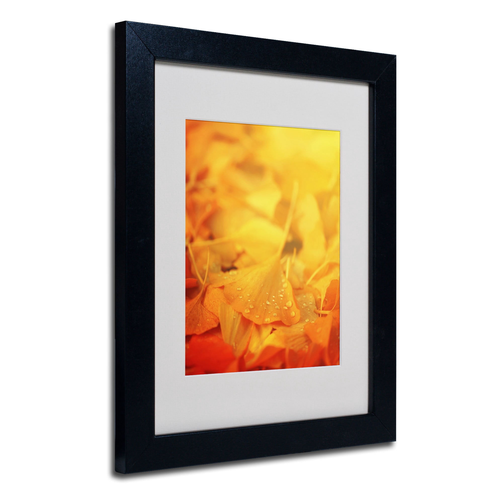 Trademark Fine Art "Thinking Bubble" Canvas Art by Philippe Sainte-Laudy, Wood Frame
