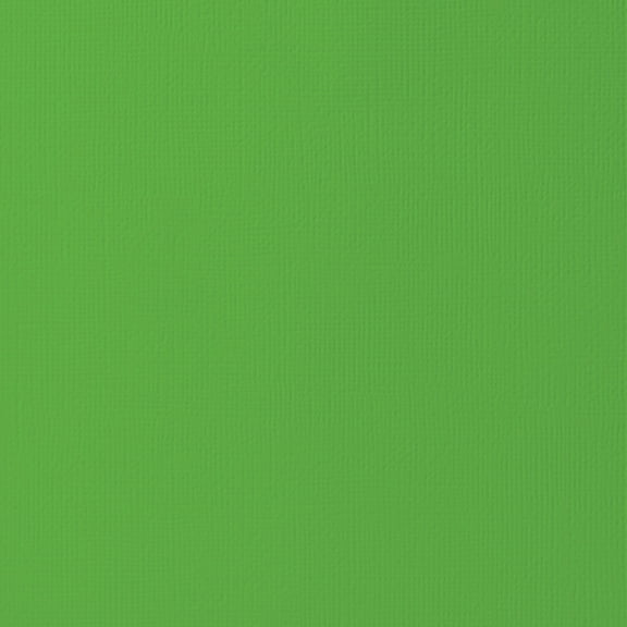 American Crafts 80lb Textured Cardstock 12"X12"-Grass