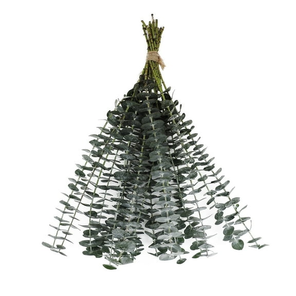 Bloomingmore - Hanging Baby Blue Eucalyptus Fresh Flowers, 40 Stems